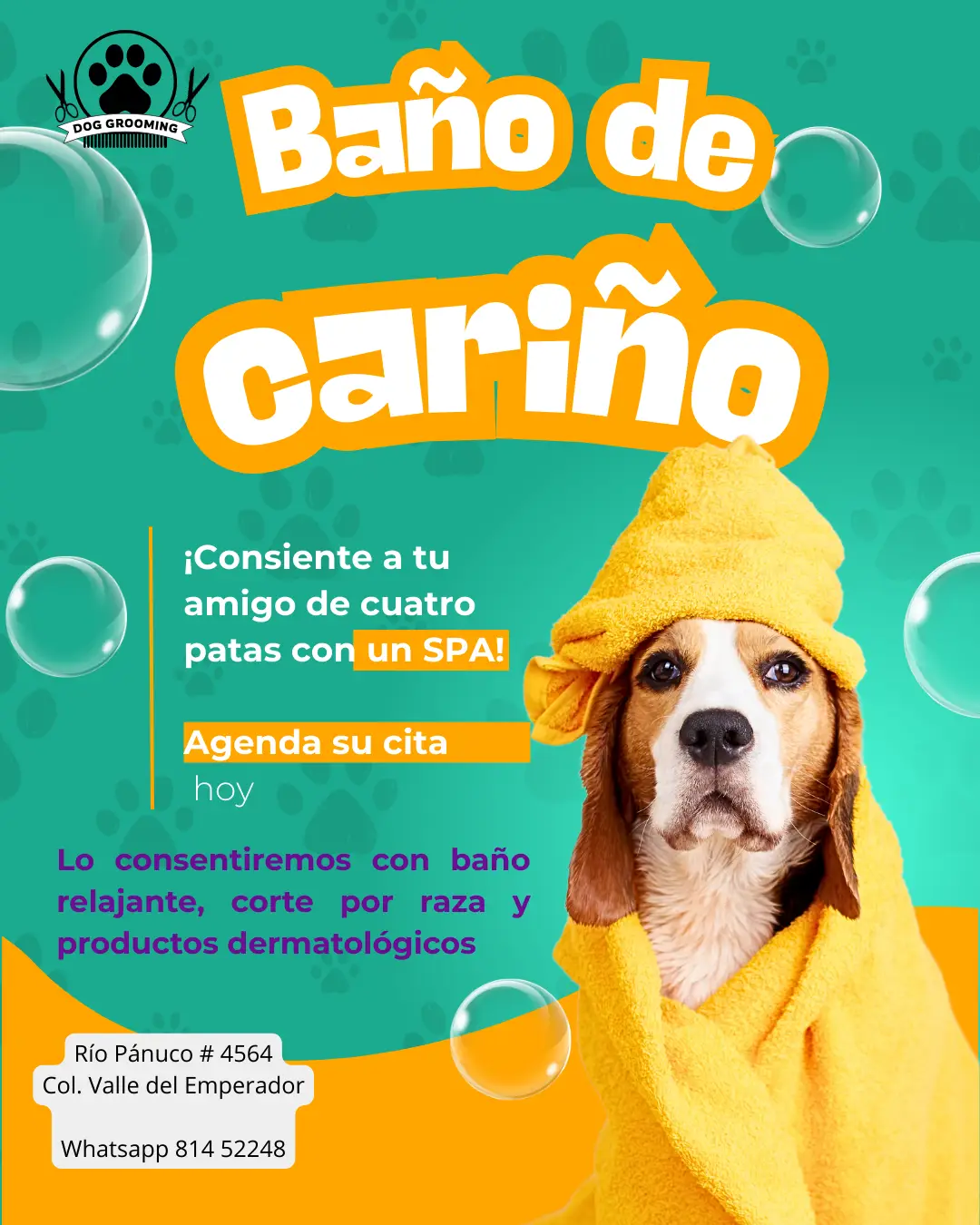 como escribir publicaciones para tu estetica veterinaria